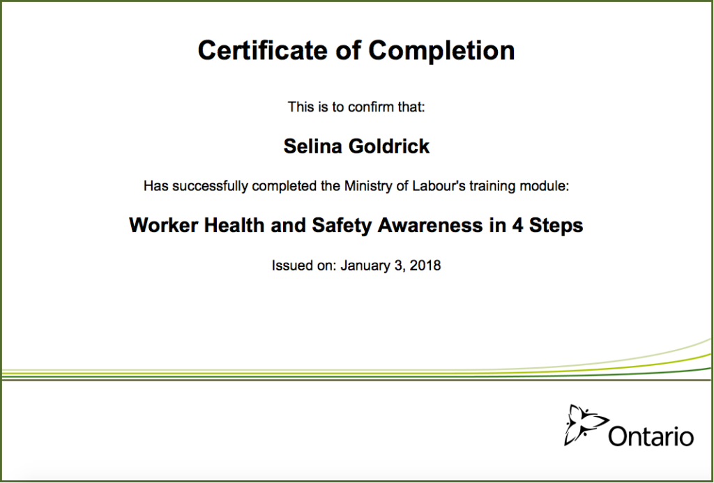 Worker Health And Safety Awareness In 4 Steps – Selina Goldrick